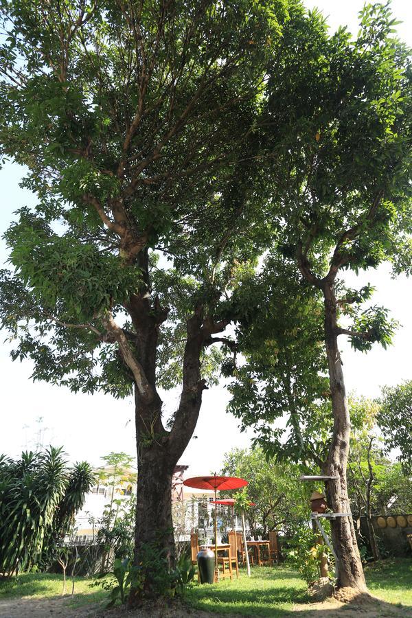 Mango Hill Inn Yangon Esterno foto